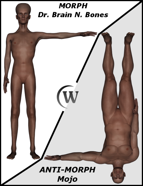 This single morph package includes two full body mophs (fbm) using anti-morph technology