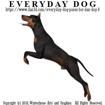 JUMPING Dog from Everyday Dog Poses