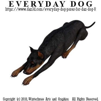 LAYING Dog from Everyday Dog Poses