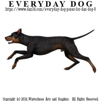 RUNNING Dog from Everyday Dog Poses