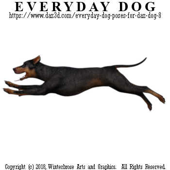 SPRINTING Dog from Everyday Dog Poses