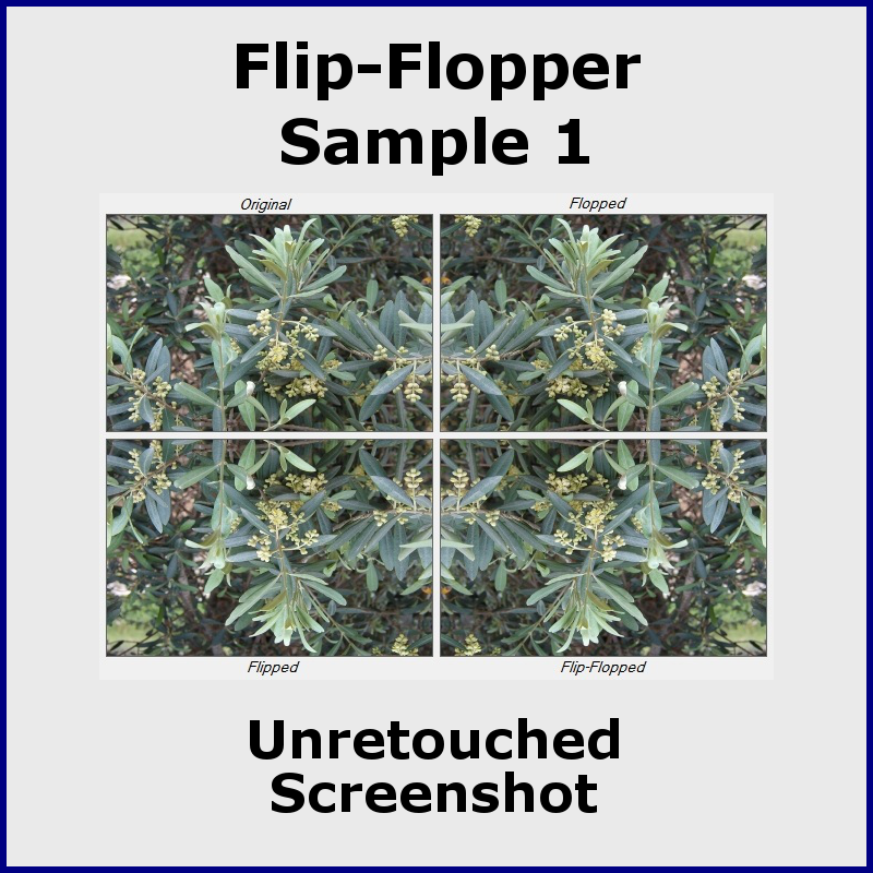 Flip-Flopper 2 - Sample1