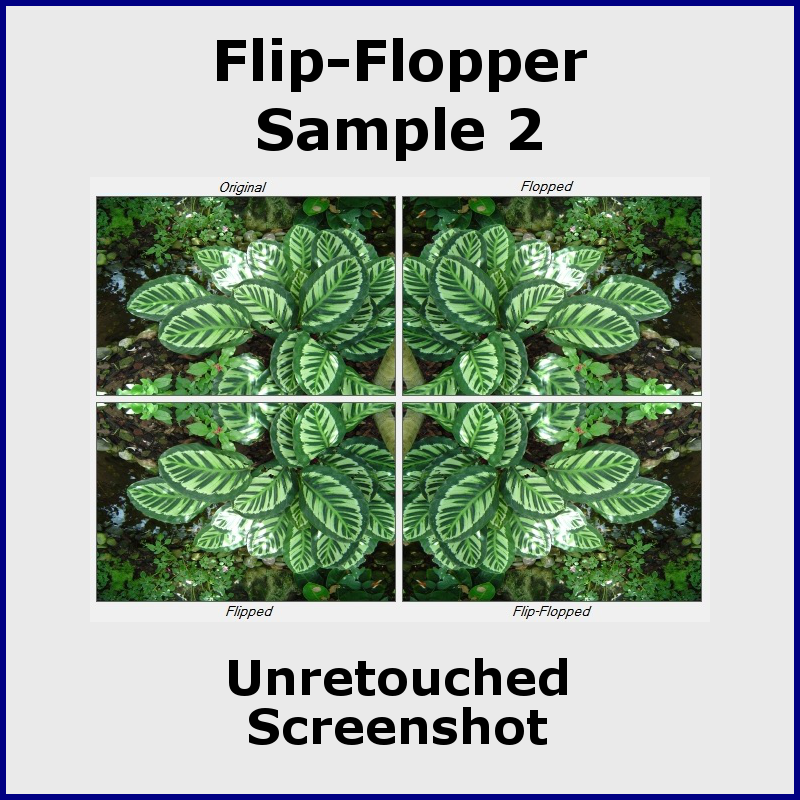 Flip-Flopper 3 - Sample2