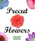 PRECUT FLOWERS, Digital Images and Merchant Resource for Poser and Daz Studio by Winterbrose. This collection of twenty (20) flower images were extracted by hand from real-world digital photos and saved in PNG format with transparent borders. Each image was individually prepared to fully display a wide range of beautiful colors and hues. Each image can easily be integrated into your own documentation, presentations, or graphics projects of any sort. Images are compatible with any 2D graphics editor supporting the PNG format like Adobe Photoshop and The GIMP. These images are Ready-To-Use immediately in 3D applications like Poser or Daz Studio by directly applying to clothing, shapes and models. Rapidly create simple texture templates using flood-fill techniques with Photoshop or GIMP. Includes Texture Template file for the Bandeau Twist Bikini Diffuse channel in both Photoshop PSD and GIMP XCF formats. Go even further to create detailed image maps like bumps and normals by using these images in Substance Painter, ShaderMap, Bitmap-2-Material, and other advanced texture manipulating applications. As a Merchant Resource, you can then use these images to create your own derivative works to either sell or share with the rest of the world. Here are basic descriptions of each image: 001 - Deep purple petaled flower 002 - Baby blue petaled flower 003 - Yellow flower with brown center 004 - Hot pink flower just right for you 005 - Yellow-ringed red flower with button center 006 - White flower portraying innocence 007 - Violet flower with purple striping 008 - Brilliant orange color flower full of petals 009 - Light violet flower with 6-prong starfish style 010 - Coral color flower with many petals 011 - Deep red and pink flower 012 - Pink flower with dark orange red center 013 - Purple flower with yellow center 014 - Violet light purple flower with yellow center 015 - White petaled flower with dark yellow center 016 - Coral pink large petaled flower 017 - Deep purple flower with royal appeal 018 - Loose petaled white flower with yellow center 019 - Briliant yellow colored flower perfect like sunshine 020 - Very light violet flower with deep red center and large stamin