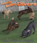 FRENCH BULLDOG Lovers Poses for French Bulldog Breed (Daz Dog 8) by Winterbrose. This pose set is based upon our Everyday Dog Poses for Daz Dog 8, and has been customized to fit the scaling and morphs of the French Bulldog breed. Use these day-to-day and favorite dog poses for your digital artwork with this wide variety of forty (40) poses. This set contains everything from hilarious to down right serious. You are sure to find something to meet your needs as a French Bulldog lover. All of the poses are listed below with a short description. Angry = Angry dog, Ball Curl = Curled up on floor, Begging Push = Begging for treat/attention, Butt Scoot = Scooting on bottom, Curious = Curious hound, Dig = Digging a hole, Drink = Getting a drink, Ear Scratch = Scratching ear, Gator Roll = Rolling on back to stretch, Guilty = "I did it" look, Handshake = Shaking hand, Head Shake = Shaking head, Hop Back = Hopping back from something, Jump = Jump through air, Lay Look = Laying and looking at something, Lay Paws Crossed = Laying with paws crossed, Lay Side Stretch = Stretching on side, Lay Side = Laying down on side, Lay = Laying down on belly, Peeing1 = Hiking leg to urinate, Peeing2 = Squatting to urinate, Peering Over = Peering over fence or sofa, Playful Hunched = Leaning down and ready to play, Playful Pawing = Pawing at toy or someone's foot, Playful Roll = Rolling on back during playtime, Playful = Ready to play, Pointing = Pointing at rabbit, squirrel or game, Pooping = Deficating for relief, Prance = Showing off for dog show judges, Retreat = Backing off while scared, Roll Stretch = Rolling on back with full stretch, Run = Running Dog, Sit Attentive = Intently paying attention, Smell = Smelling the ground or an object, Sprint1 = Sprinting dog, Sprint2 = Sprint and leap across something, Stalking = Stalking someone or sneakily approaching, Tail Chase = After my own tail (again and again), Tug = Tug o' war anyone, Yawn Stretch = Stretch and yawn