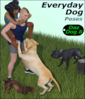 EVERYDAY DOG Poses for Daz Dog 8 in Daz Studio by Winterbrose. It's your dog so have it your way! Use these day-to-day and favorite dog poses for your digital artwork with this wide variety of forty (40) poses. This set contains everything from hilarious to down right serious. You are sure to find something to meet your needs. Included Poses: - Angry - Ball Curl - Begging Push - Butt Scoot - Curious - Dig - Drink - Ear Scratch - Gator Roll - Guilty - Handshake - Head Shake - Hop Back - Jump - Lay - Lay Look - Lay Paws Crossed - Lay Side - Lay Side Stretch - Peeing 1 - Peeing 2 - Peering Over - Playful - Playful Hunched - Playful Pawing - Playful Roll - Pointing - Pooping - Prance - Retreat - Roll Stretch - Run - Sit Attentive - Smell - Sprint 1 - Sprint 2 - Stalk - Tail Chase - Tug - Yawn Stretch