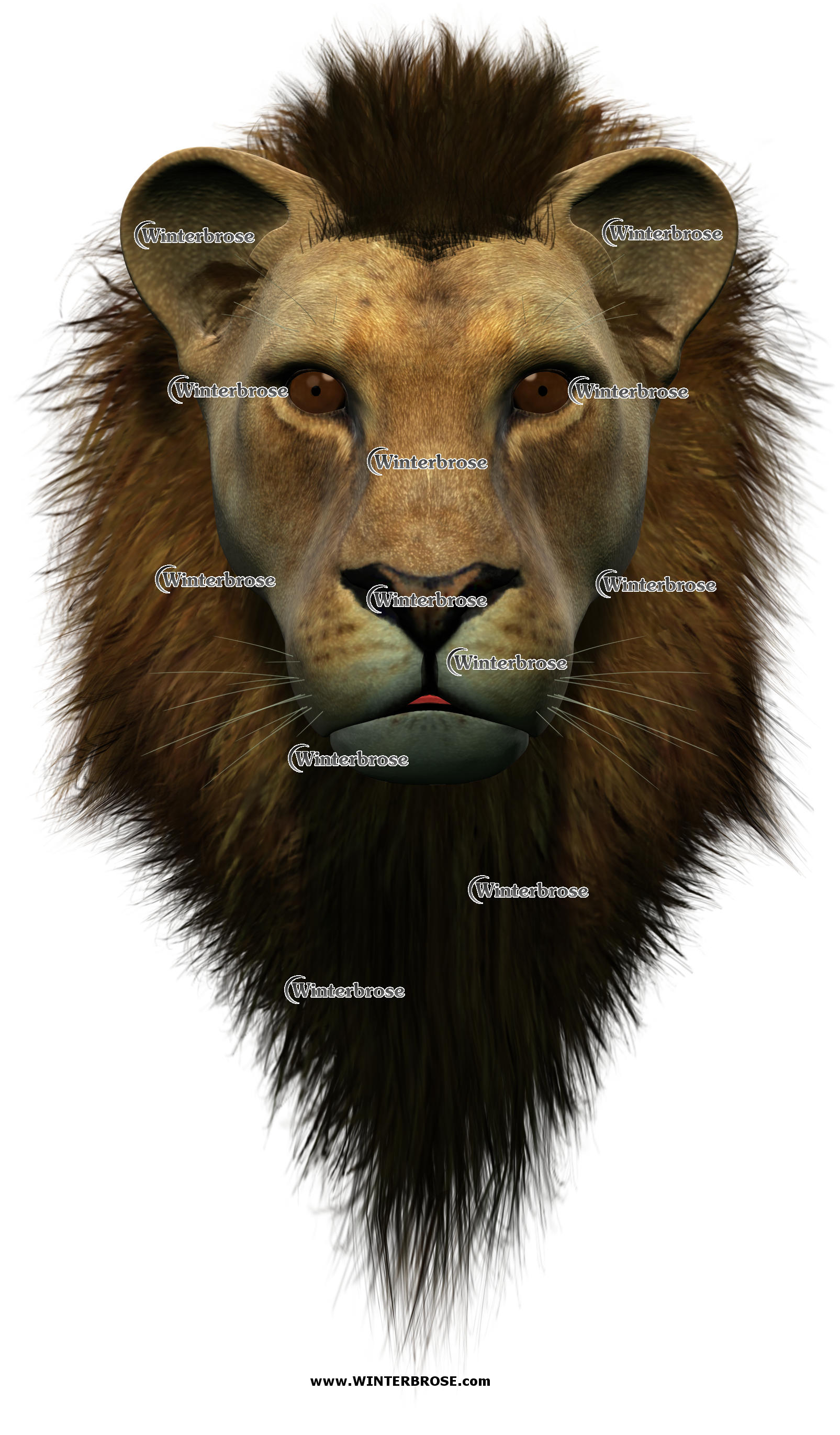 LION, king of the wild kingdom, display this face shot anywhere you need this wild cat to appear.